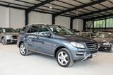 Mercedes-Benz ML 350 Leder Navi Xenon AHK  *1.Hand* - Mercedes-Benz ML 350 in Mannheim