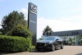 Mazda CX-30 e-SKYACTIV-G HYBRID+TAKUMI+ALLWETTERREIFEN - Mazda CX-30 Takumi mit Hybrid-Antrieb (Benzin/Elektro)