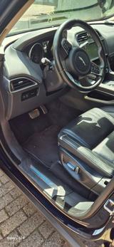 Jaguar F-Pace 30d AWD 300 SPORT Automatik 300 SPORT - Jaguar F-Pace von privat