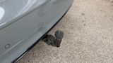 AUDI SQ5 3.0 TDI quattro/Pano/Head Up/B&O/Matrix/Kame - Thumbnail 21