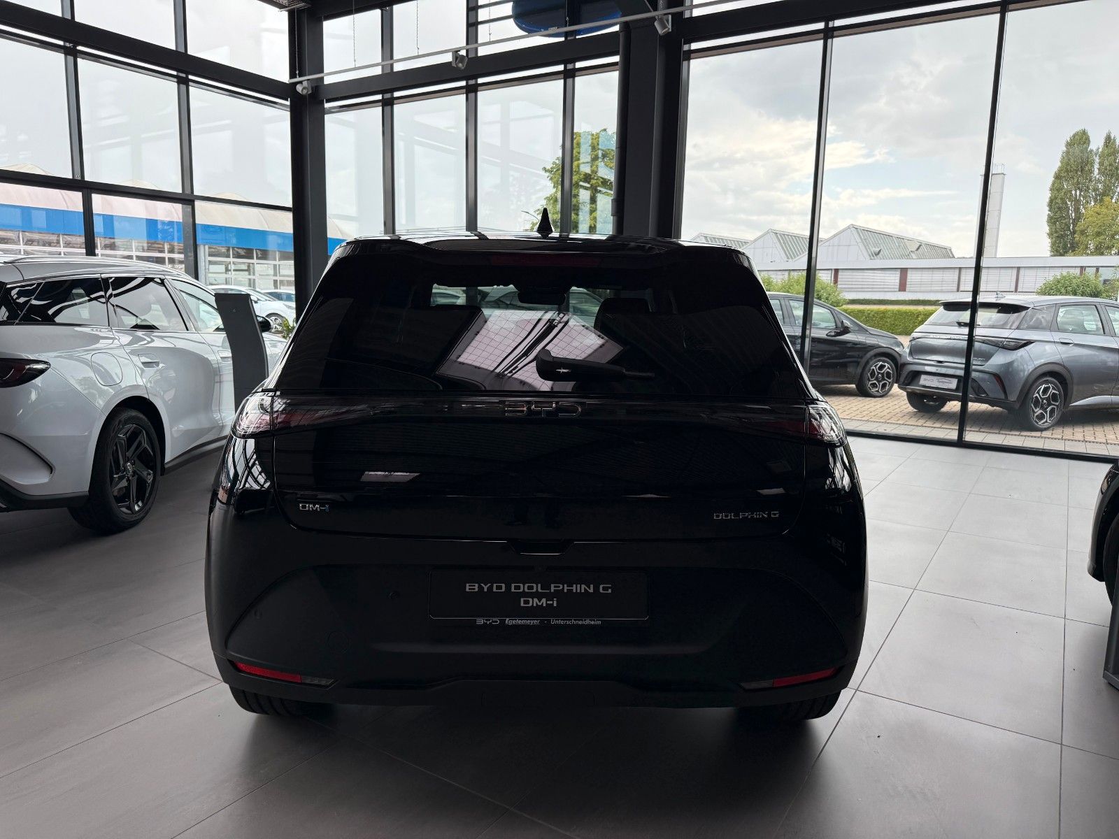 BYD DOLPHIN