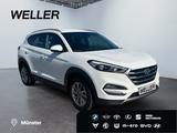 Hyundai Tucson 1.6 Intro Edition *Navi*Kamera*SHZ*PDC*DA - Hyundai TUCSON: Intro Edition