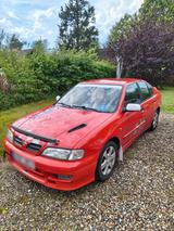 Nissan Primera p11 GT Sport Line Jdm TÜV - Nissan Primera: Sport