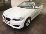 BMW 218i Cabrio Advantage Advantage - BMW 218: Privatanbieter
