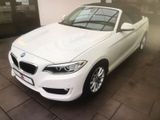 BMW 218i Cabrio Advantage Advantage - BMW 218 aus 2016