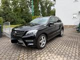 Mercedes-Benz ML 250 BlueTEC 4MATIC - - Mercedes-Benz ML 250 aus 2015