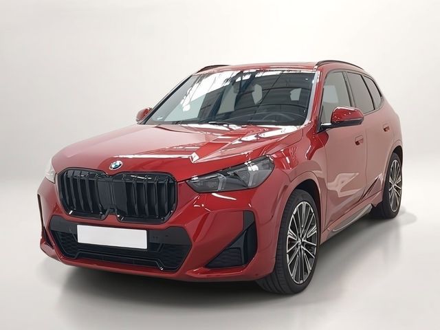 BMW X1 xDrive 23 d M Sport Pano HuD ACC H&k AHK 360°