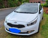 Kia cee'd Sportswagon 1.6 GDI DCT Spirit Sportsw... - Kia cee'd Sportswagon aus 2013