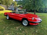 Alfa Romeo Spider 115 Oldtimer Zulassung - Alfa Romeo aus 1983