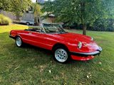 Alfa Romeo Spider 115 Oldtimer Zulassung - Alfa Romeo Oldtimer: Cabrio