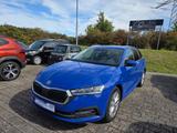 Skoda Octavia Combi 2.0 TDI DPF Style (EURO 6d) - Skoda Octavia: Eu