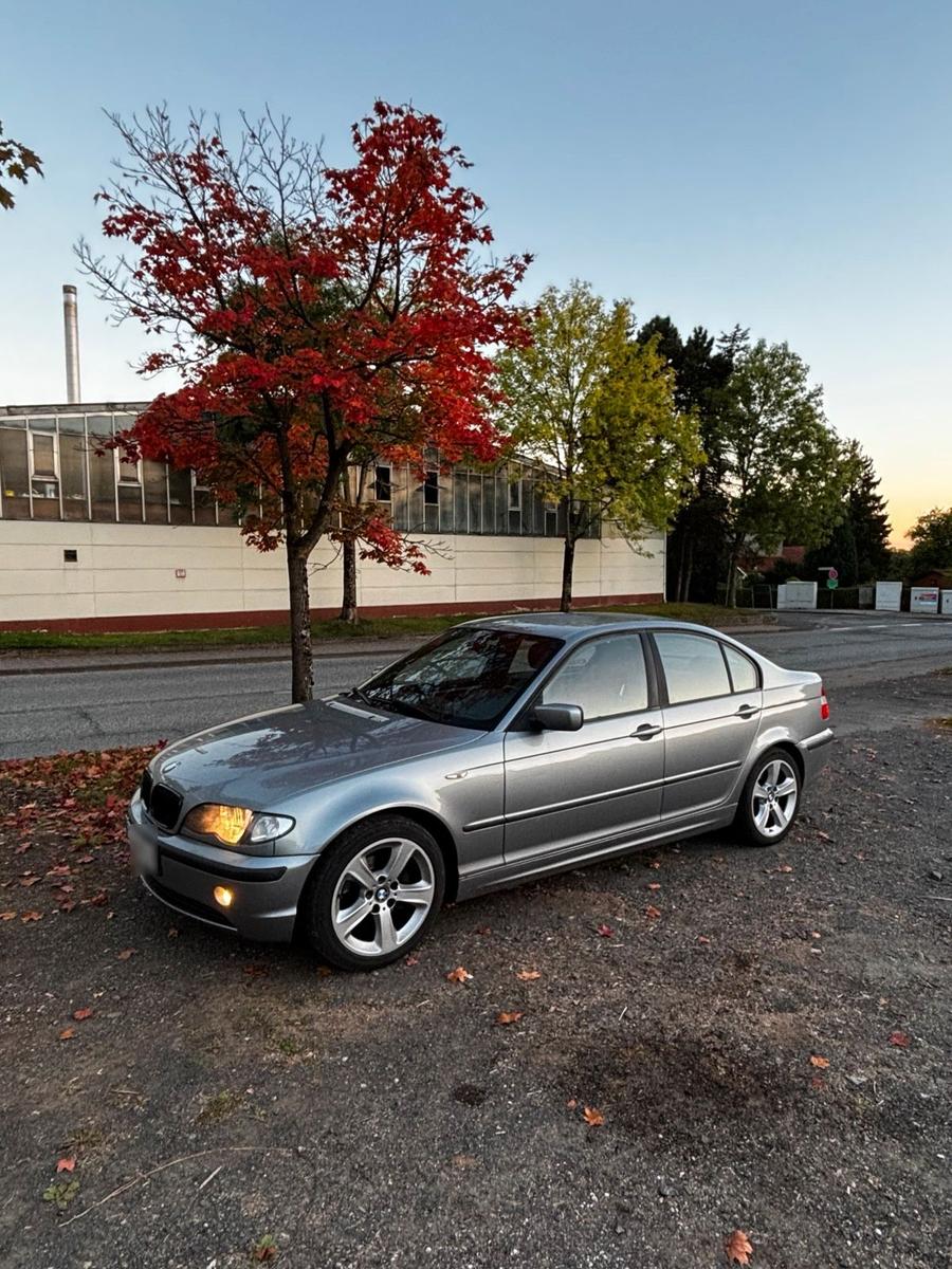 BMW 318