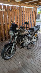 Yamaha XJR 1300 RP19 top gepflegt  - Offers matching your search criteria