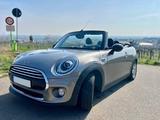 MINI Cooper Cabrio - sportlicher Fahrspaß (SH) - : Kleinwagen, Sportliche
