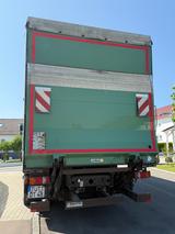 MAN TGM 340 Leguangrün - MAN grün