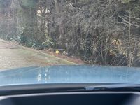 BMW 420 Gran Coupé - Vorschau Bild 18