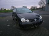 Volkswagen VW Polo 1,2 Benziner - Volkswagen Polo aus 2004 mit Benzin-Antrieb: Kleinwagen, mit Klimaanlage, 1.2