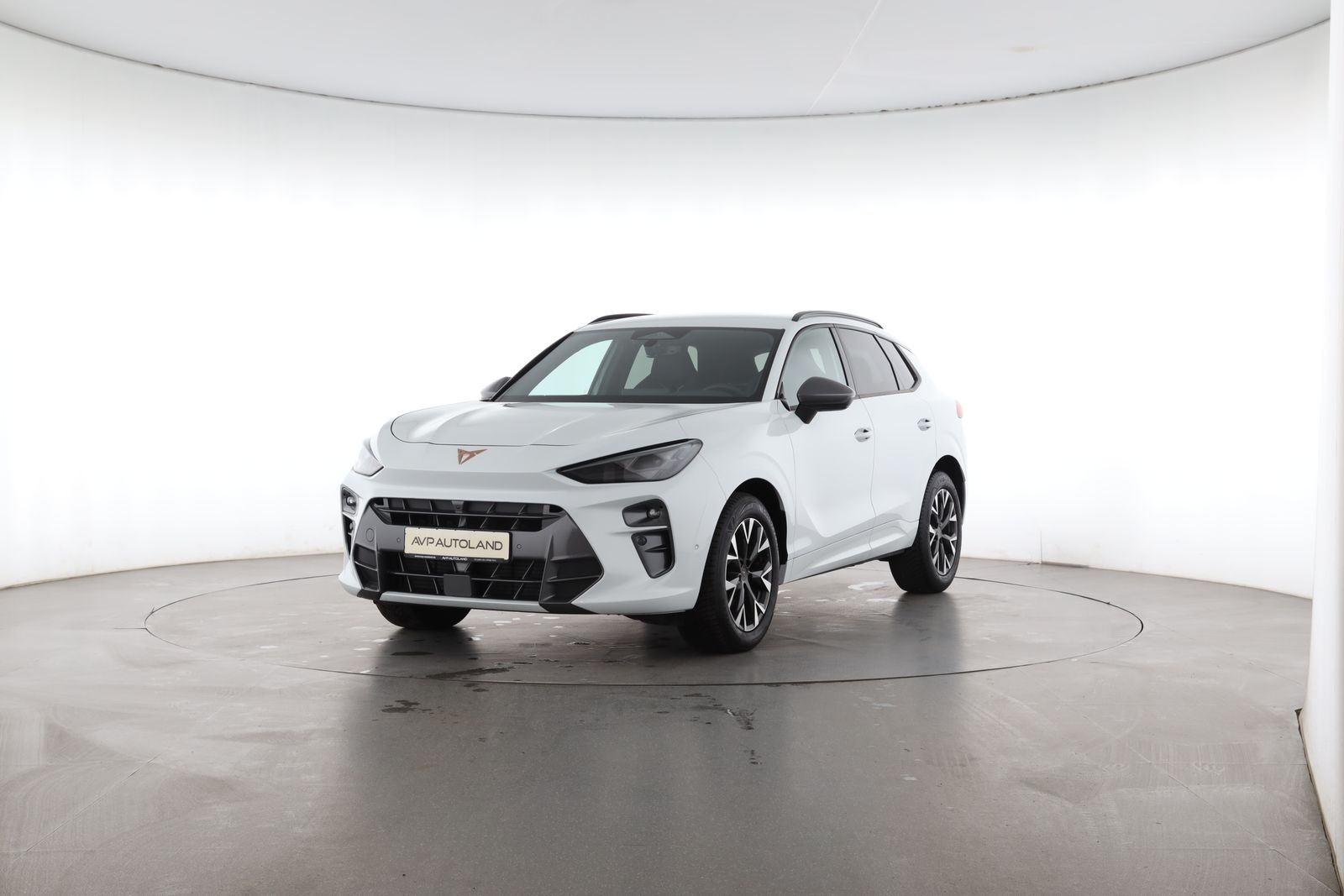 Cupra Terramar - Bild 2