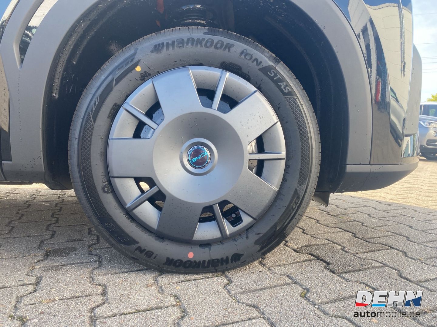 BYD DOLPHIN SURF