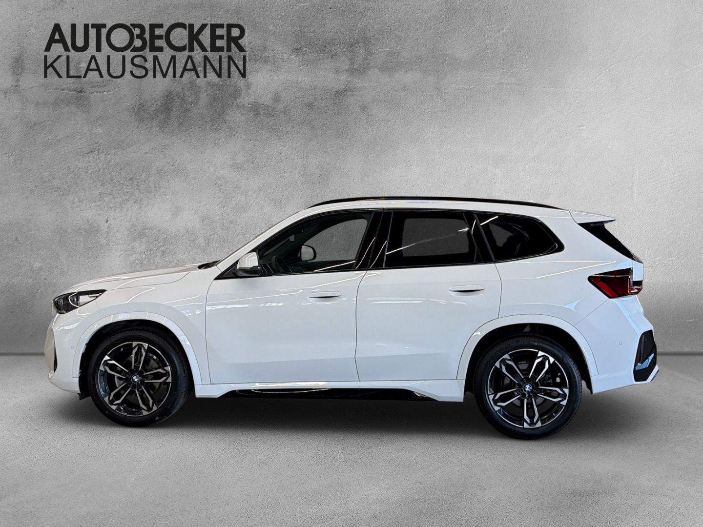 BMW X1 xDrive 20d M SPORT 19'' LC PROF HuD AHK PANO foto 3