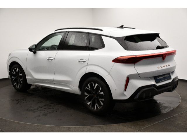 Cupra Terramar - Bild 15