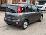 Fiat Panda Easy Klima 63000 KM 1.Hand - Fiat Panda Gebrauchtwagen in Berlin