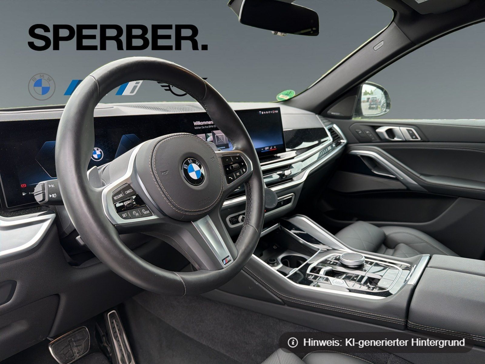 BMW X6 - Bild 10