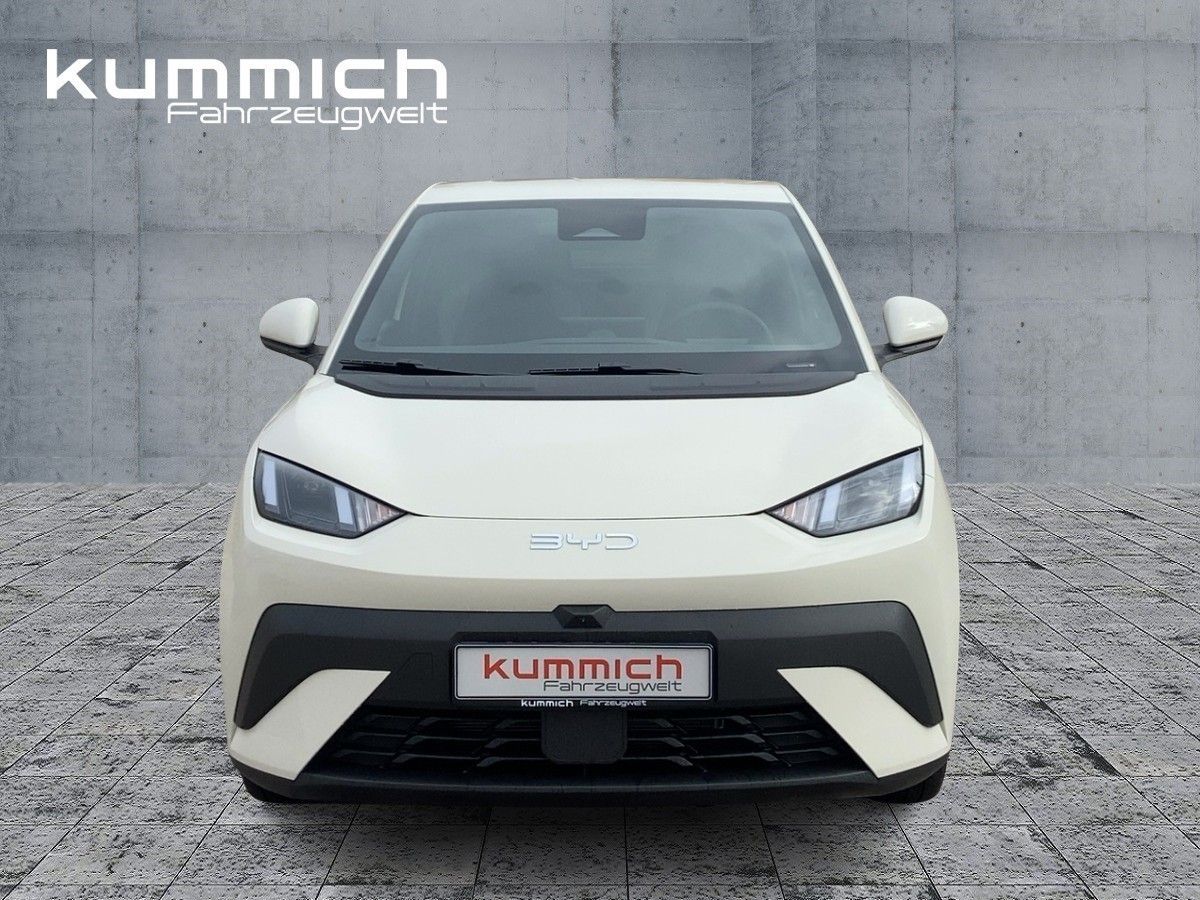 BYD DOLPHIN - Bild 2