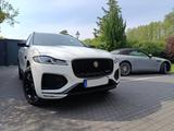 Jaguar kraftvolle & elegante Raubkatze (Gar.  bis 2029) - Jaguar aus 2024