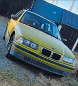 BMW e36 316i (Motorschaden) - BMW: Motorschaden