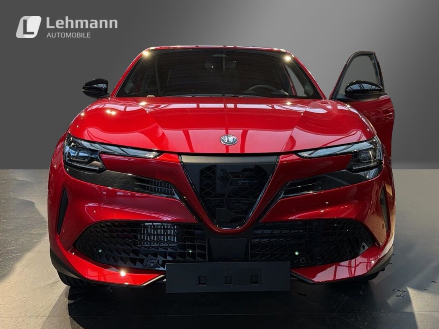 Fahrzeugabbildung Alfa Romeo Junior Elettrica TI-Technologie-Panorama-Wärmepu