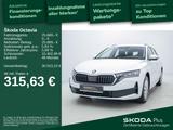 Skoda Octavia Combi 1.5 TSI DSG e-TEC*APP*GRA*DAB*AHK* - Skoda Octavia Jahreswagen