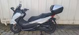 Honda Forza 350 Reifen neu, Facelift, Android, Zubehör - Angebote