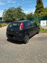 Fiat Punto Grande 1.4 - Fiat Punto Gebrauchtwagen in Köln