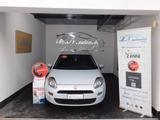 Fiat Punto 1.4 8V 5 porte Natural Power Lounge - Fiat Punto: Natural Power