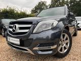 Mercedes-Benz GLK 220 BlueTEC 4MATIC AHK*Pano*Tempo*Navi*SitzH - Mercedes-Benz Gebrauchtwagen in Brandenburg an der Havel