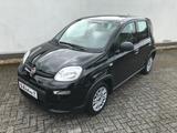 Fiat Panda MY24 1.0 GSE Hybrid Klimaanlage - Fiat Panda Gebrauchtwagen in Aachen