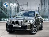 BMW X5 xDrive30d M Sportpaket Gestiksteuerung DAB
