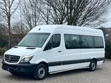 Mercedes-Benz Sprinter 313 Cdi BlueTEC Maxi 9Sitze+Lift Klima - Mercedes-Benz Sprinter: 313 Cdi Maxi
