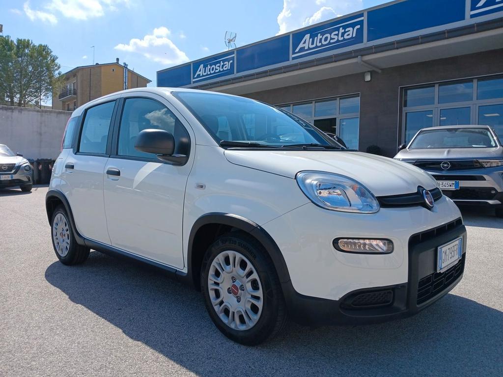 Fiat FIAT PANDA 10 BENZINA HYBRID 70CV 2023 2023