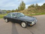 Jaguar Daimler double six 6.0L V12 - Jaguar Gebrauchtwagen von 1994