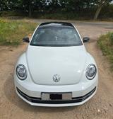 Volkswagen Beetle 1.4 TSI DSG Sport / neue Ganzjahresreifen - VW Beetle von privat