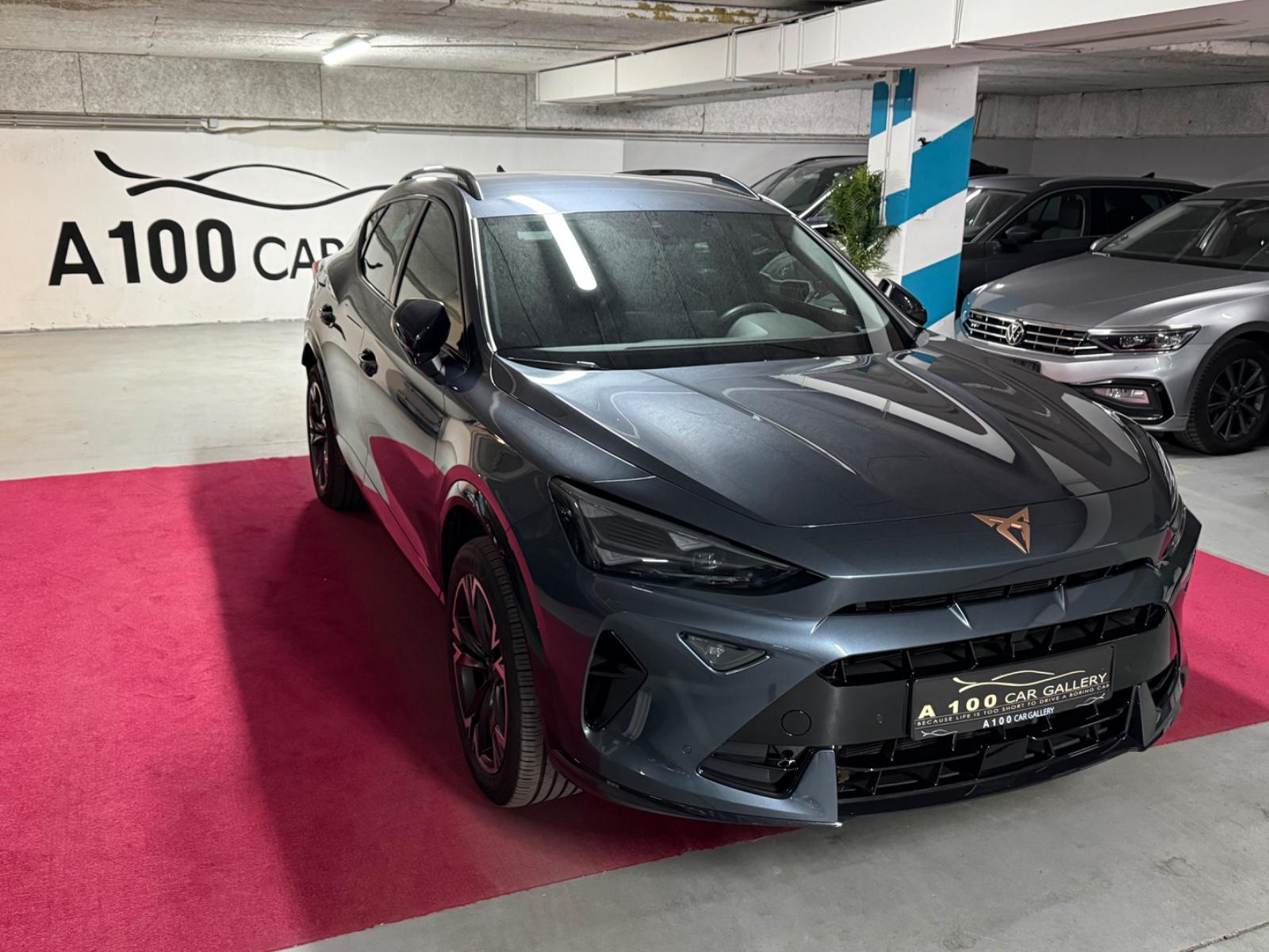 Cupra Formentor 2.0 TDI Matrix Led Assist AppCar 1H