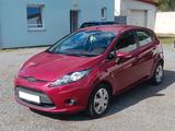Ford Fiesta 1,6 TDCi 66kW DPF Trendline - Ford Fiesta aus 2009: 1.6