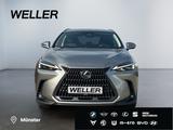 Lexus NX 450h+ E-FOUR Executive Line *AHK*Leder*360Gra - Lexus NX 450h Gebrauchtwagen