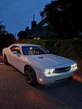 Andere Dodge Challenger SVT 3.6L - Andere mit Benzin-Antrieb: Coupe