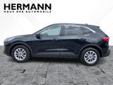 Ford Kuga 1.5 EcoBoost Titanium AHK*CAM*LED*NAVI*SHZ - Ford Kuga aus 2021