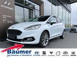 Ford Fiesta 1.0 EcoBoost Vignale + CAM + SHZ + NAV - Ford Fiesta: Vi