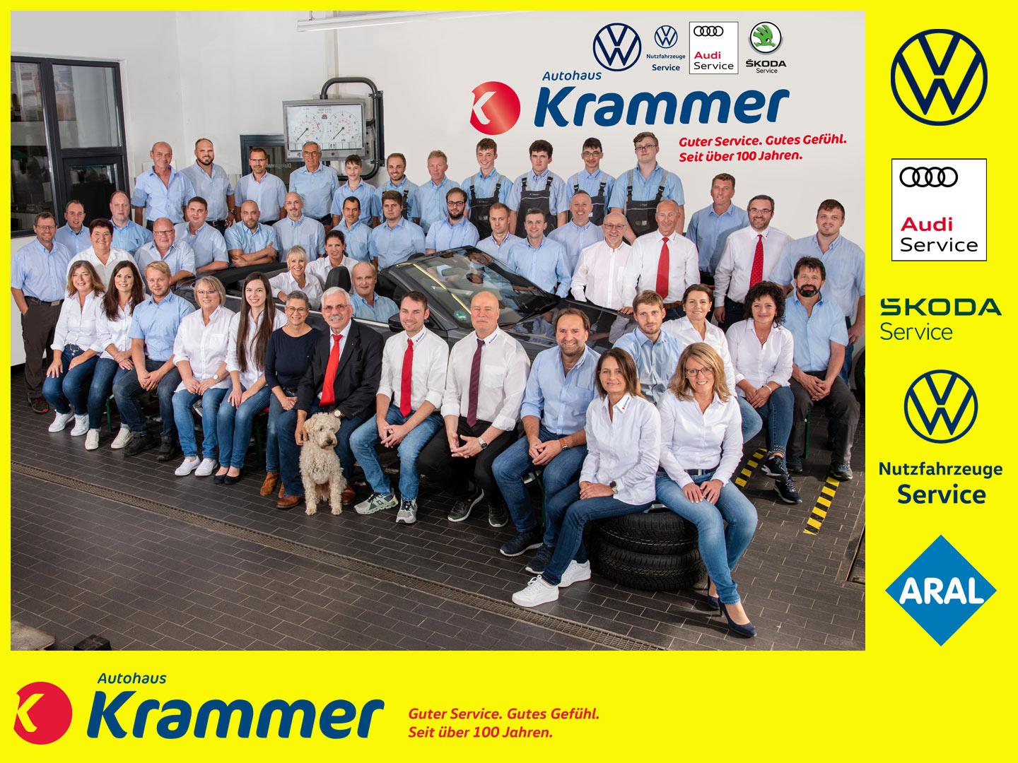 Volkswagen T-Roc 1.5 TSI DSG Sport *Kamera*SZH*APPCONNECT*