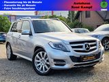 Mercedes-Benz GLK 250 4Matic *Xenon*Navi*Leder*19Zoll* - Mercedes-Benz GLK-Class in Berlin